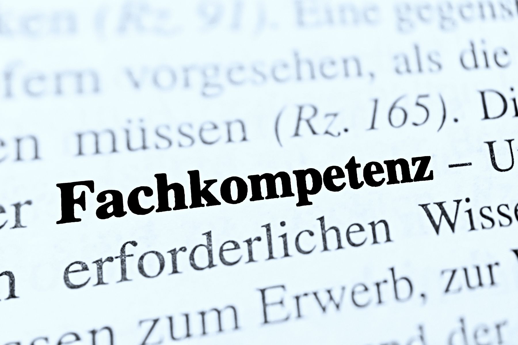 Fachkompetenz is the german word of professional competence - bl